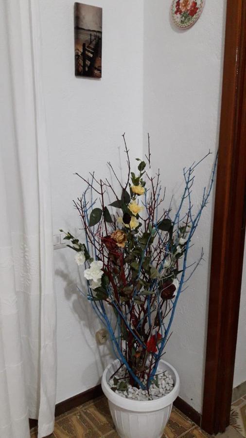 4 Stagioni Bed and Breakfast Villasimius Εξωτερικό φωτογραφία