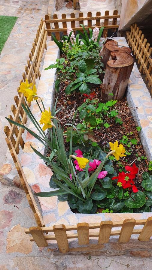 4 Stagioni Bed and Breakfast Villasimius Εξωτερικό φωτογραφία
